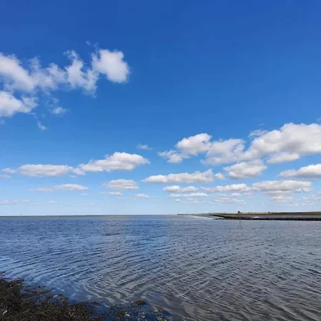 6 Person In * Højer