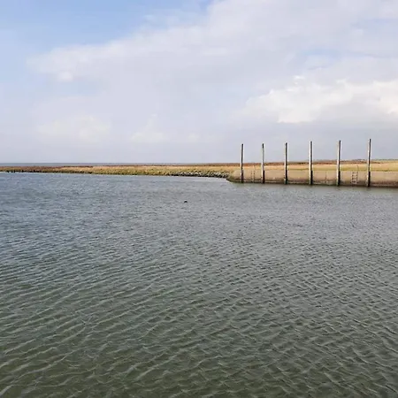 6 Person In * Højer