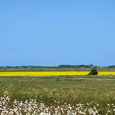 6 Person In Hébergement de vacances