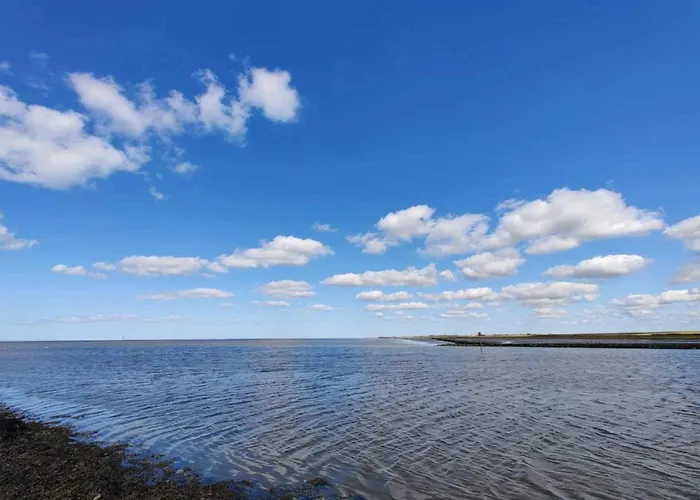 6 Person In * Højer